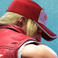 Terry icon