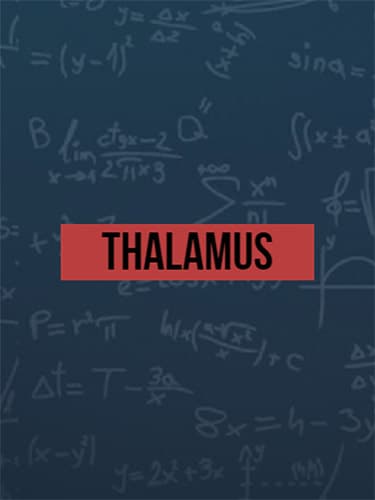 Thalamus cover