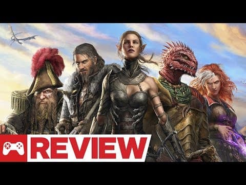 IGN video review: Divinity Original Sin 2 artwork